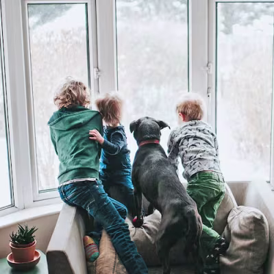 Kids and dog looking out of family room window